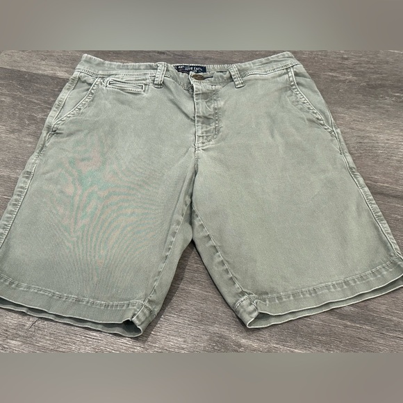 American Eagle Outfitters Other - American Eagle Green Men’s Slim Active Flex Shorts size 30